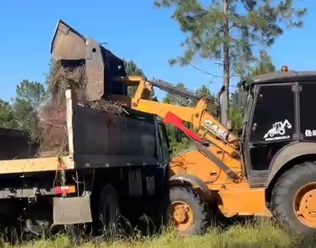Municipio de Sarandí Grande comenzó remoción de ramas acumuladas en Parque Tomás Berreta